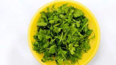 garnishing-instructions-image